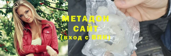 шишки Арсеньев