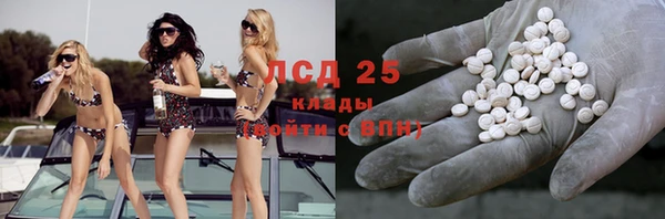 шишки Арсеньев