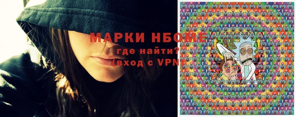 шишки Арсеньев
