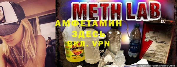 шишки Арсеньев