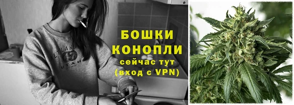 шишки Арсеньев